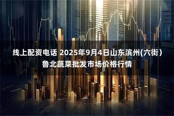 线上配资电话 2025年9月4日山东滨州(六街）鲁北蔬菜批发市场价格行情