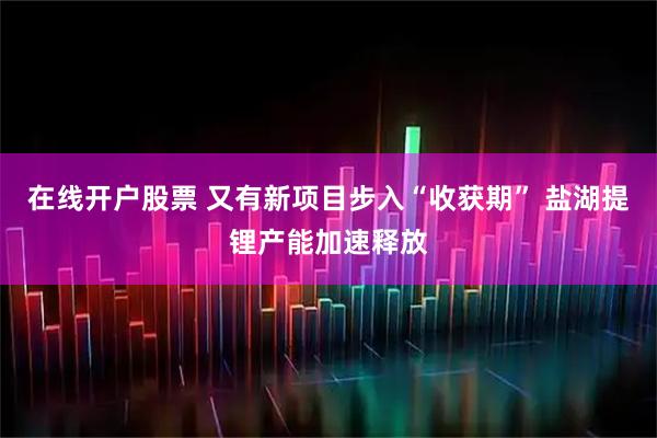在线开户股票 又有新项目步入“收获期” 盐湖提锂产能加速释放